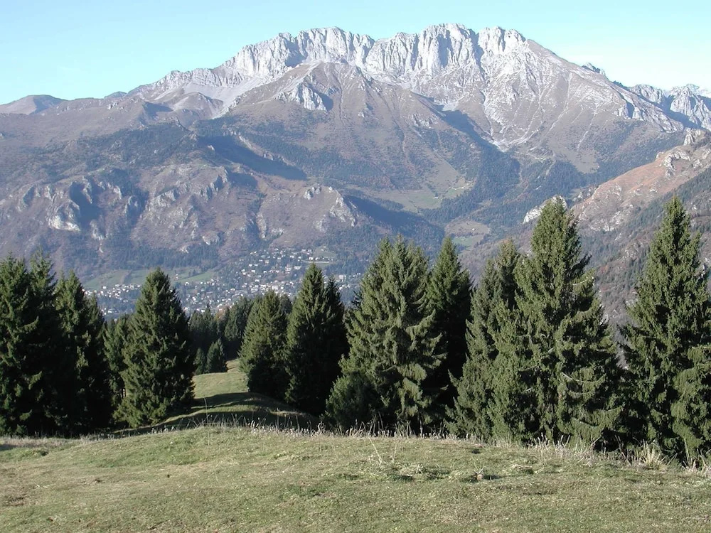 Hotel Prealpi - Général