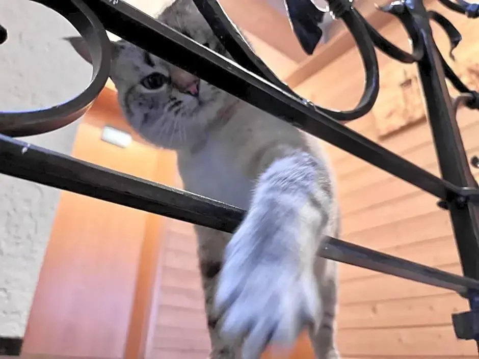 Hotel-garni Kalkbrennerhof - Général
