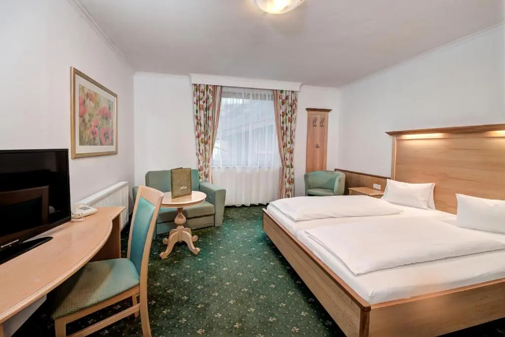 Standard Double room with mountain view (full double bed)