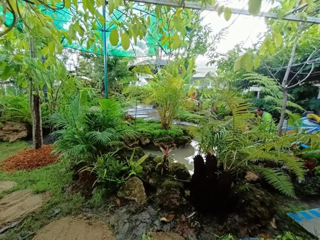 P Paradise Hotel - Général