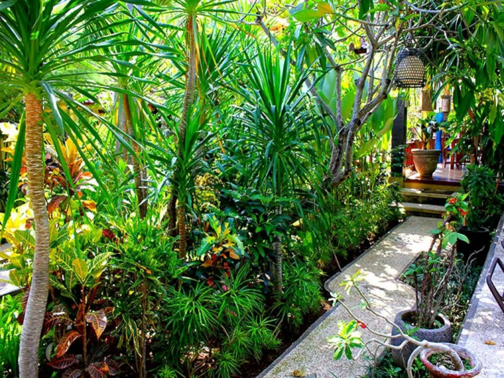 Alami Resort & Restaurant - Général