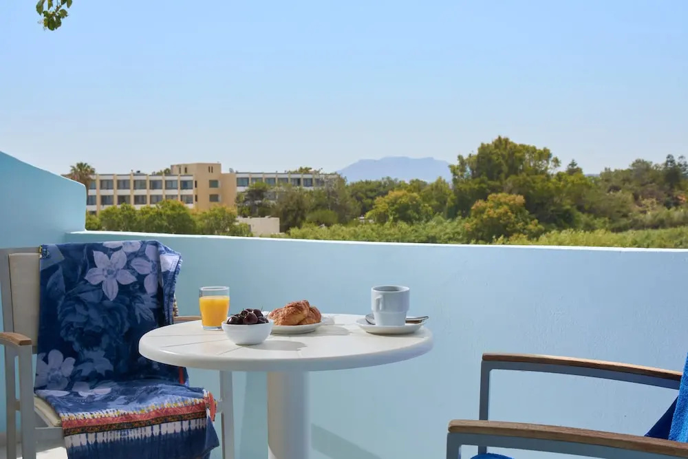 Standard Double room with mountain view (full double bed)