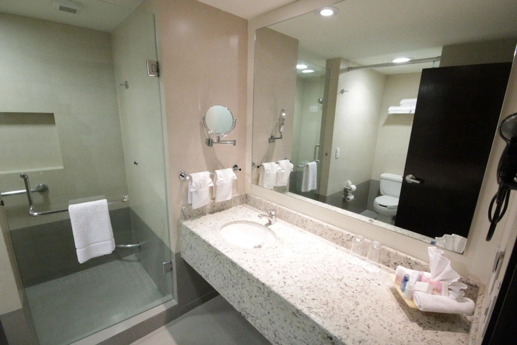 Crowne Plaza Leon by IHG - Général