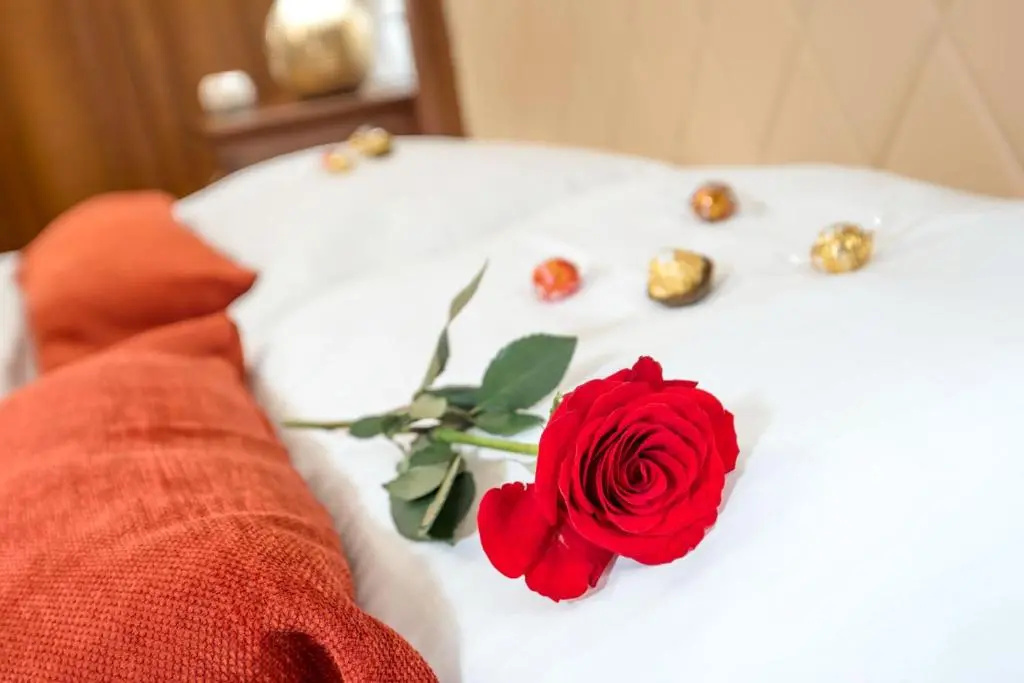 Hotel Dvorac Gjalski - Chambres