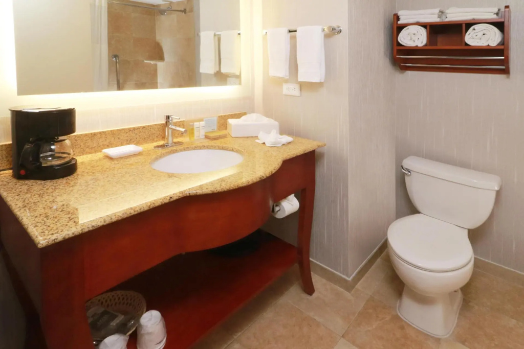 Hampton by Hilton Chihuahua - Général