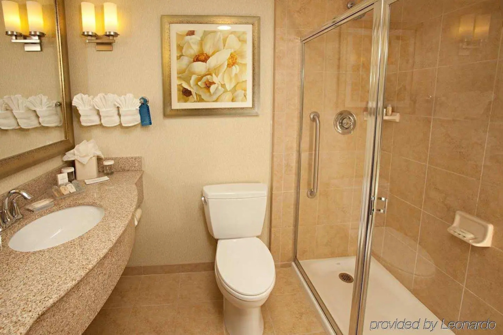 Hilton Garden Inn Lake Buena Vista/Orlando - Général