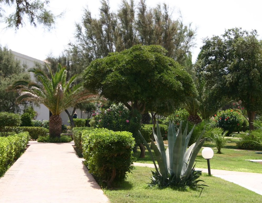 Hotel photo 30