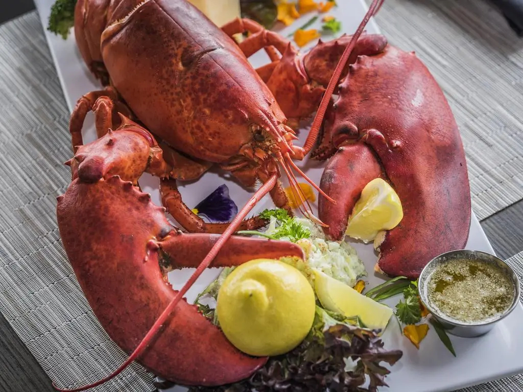 Rodd Miramichi - фото 12