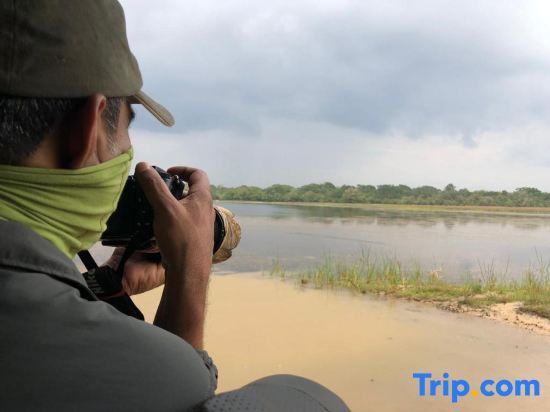 Mahoora Tented Safari Camp - Wilpattu