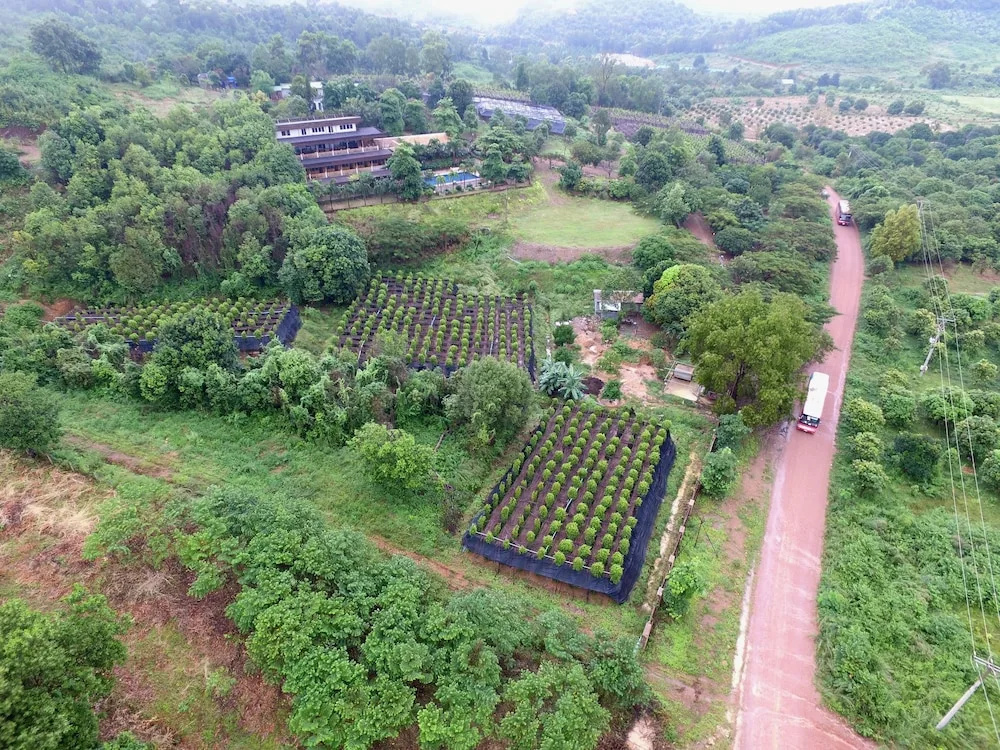 Myhouse Resort