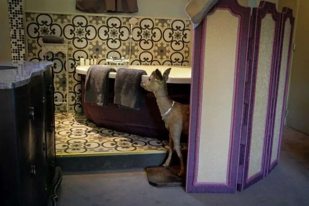 Hotel photo 16