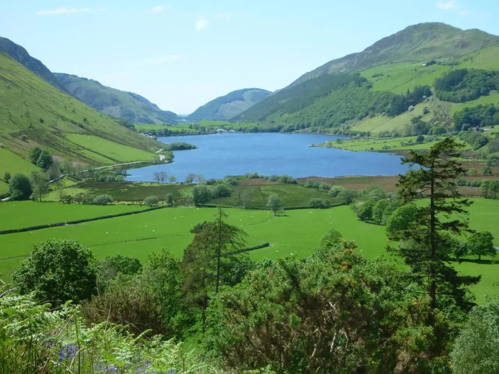 Dolffanog Fawr - Général