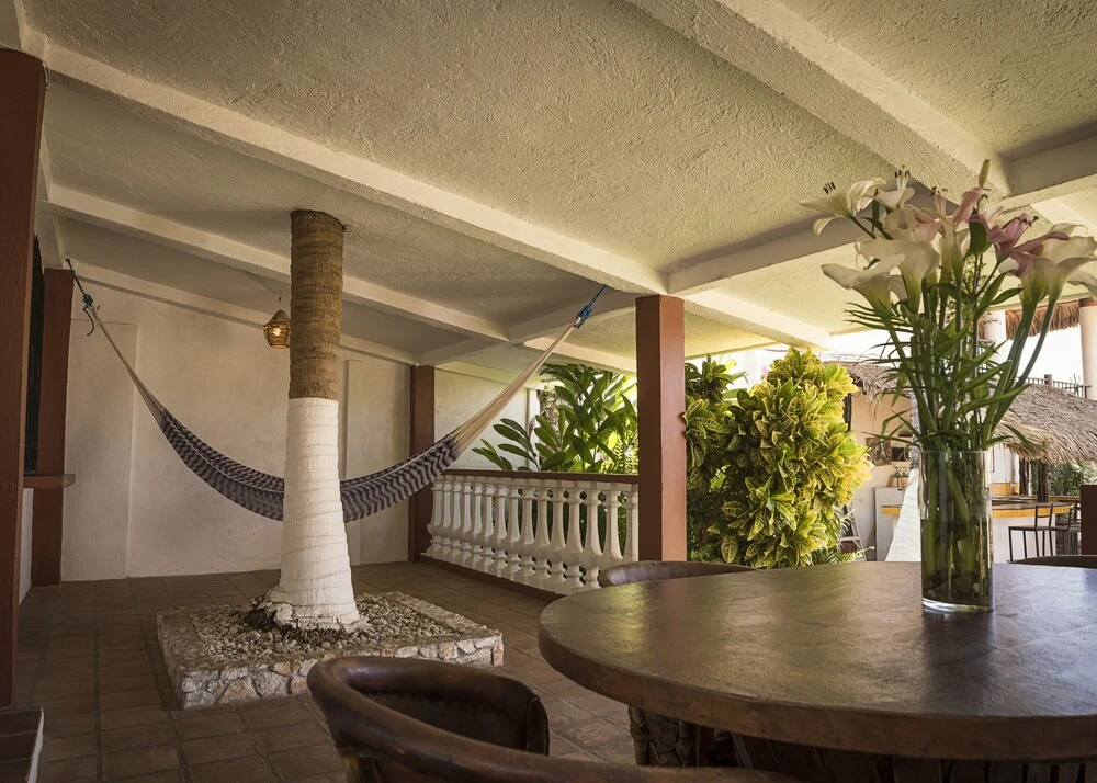 Villas Carrizalillo - Général
