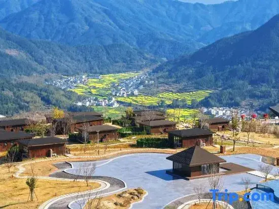 Jiangling Rape Blossom Holiday Villa