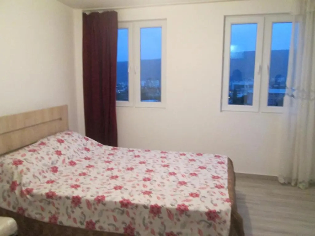 Standard Double room with mountain view (full double bed)
