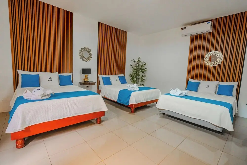 Hotel Blue Marlin - Chambres