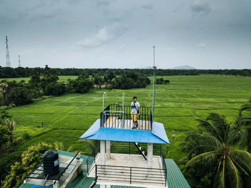 Heaven Upon Rice Fields