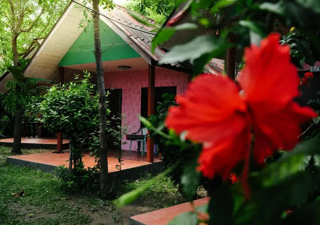 Coral Resort & Bungalows - Chambres
