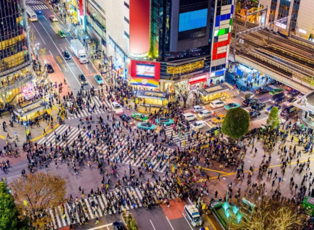 Daines-I Shibuya 405 사진 17