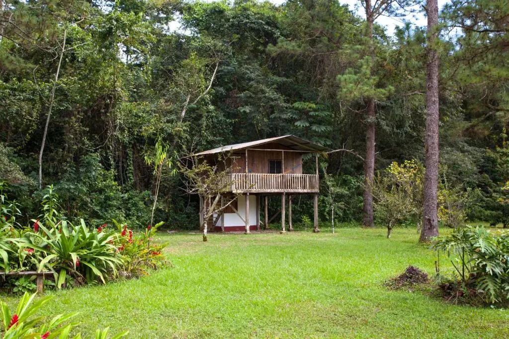 Finca Ixobel Hotel Ecologico - Chambres