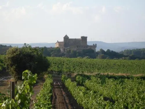 Hotel Rural L’Ocell Francoli - Général