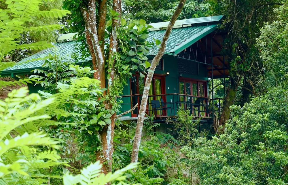Paradise Eco Garden - Chambres