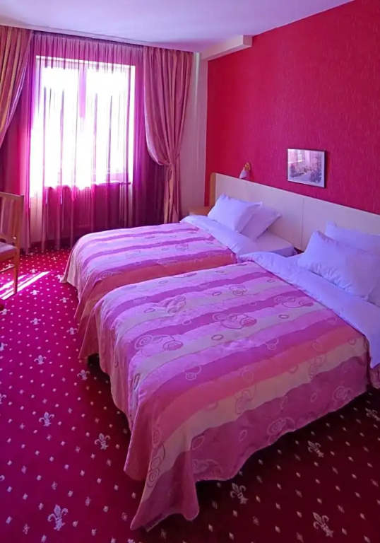 Hotel Balkan - Chambres