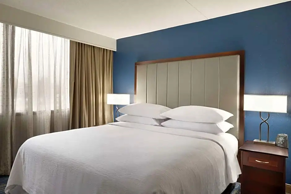 2-room Premium Double Suite (full double bed)