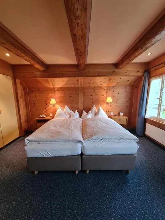 Hotel Friedheim - Chambres