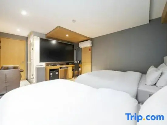 Standard Double room (twin beds)