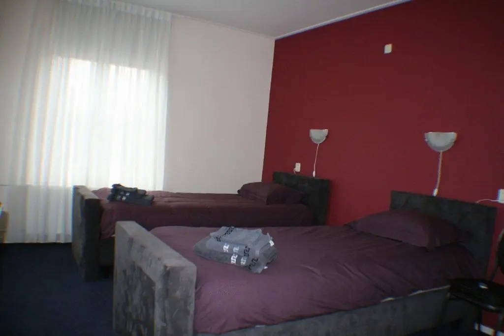 Deluxe Double room (twin beds)