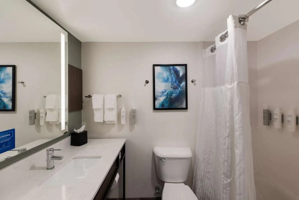 Hilton Garden Inn Columbus/Grove City - Général