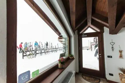 Balcony & Terrace