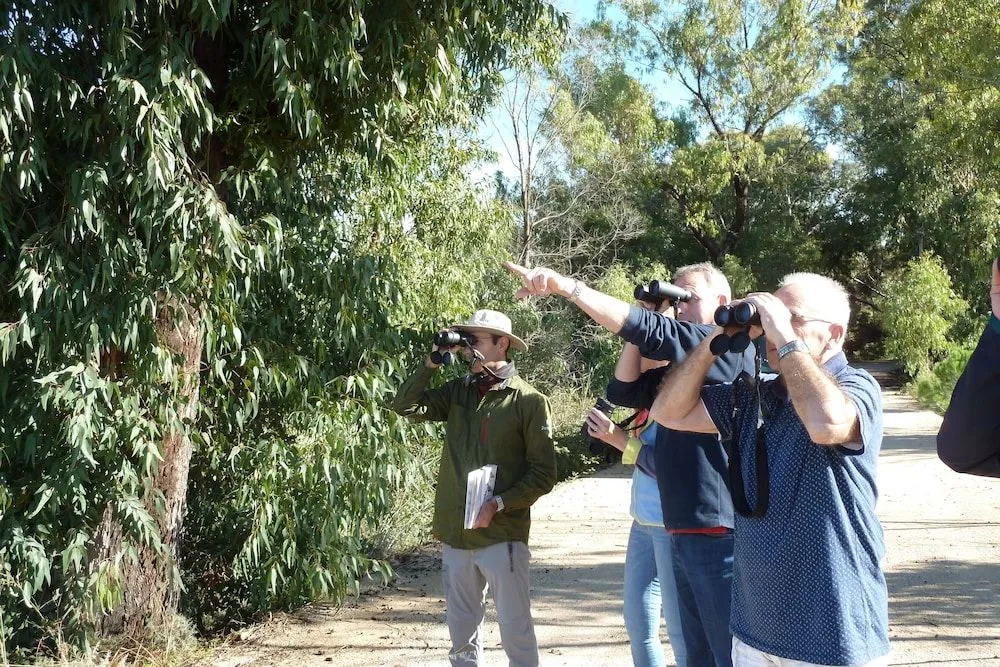 The White House - Boutique Villa - фото 20