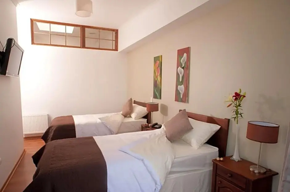Standard Double room (twin beds)