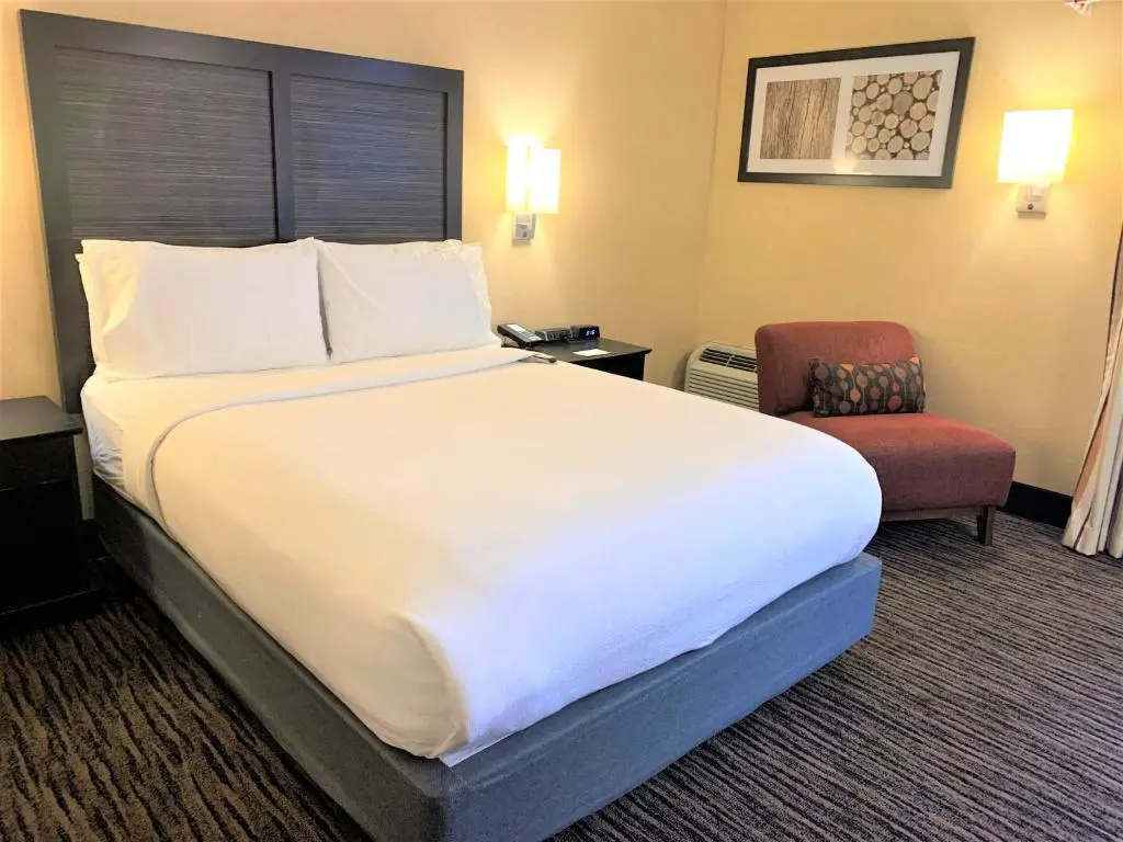 Holiday Inn Dublin-Pleasanton by IHG - Chambres