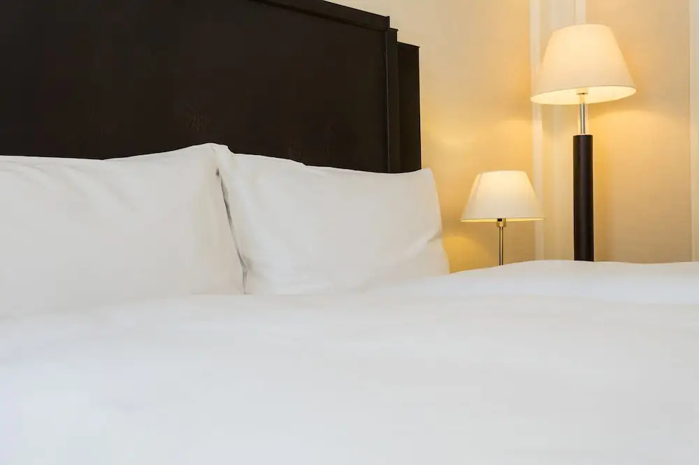 Hotel Euler - Chambres