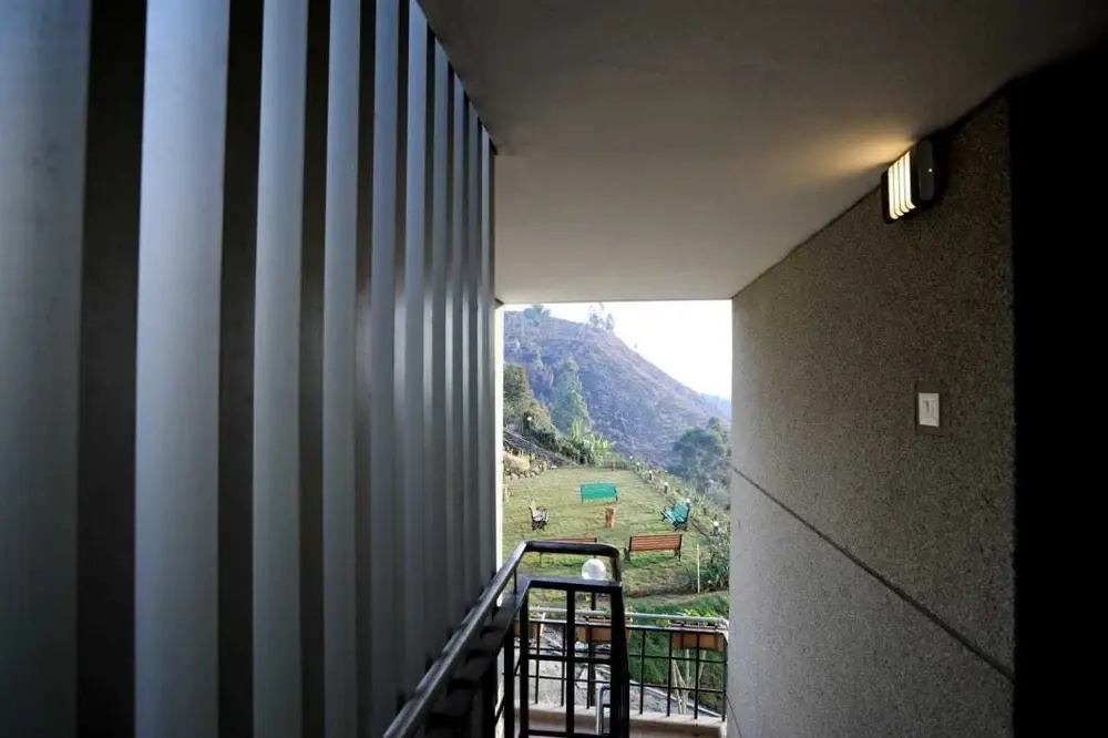 Balcony & Terrace