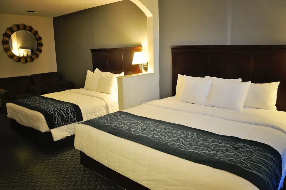Comfort Inn - фото 5