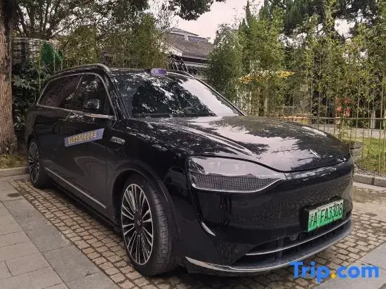 Shanghai Jiading Villa Garden Hotel - Général