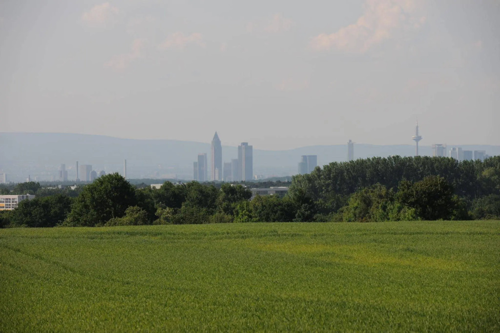 Image 13