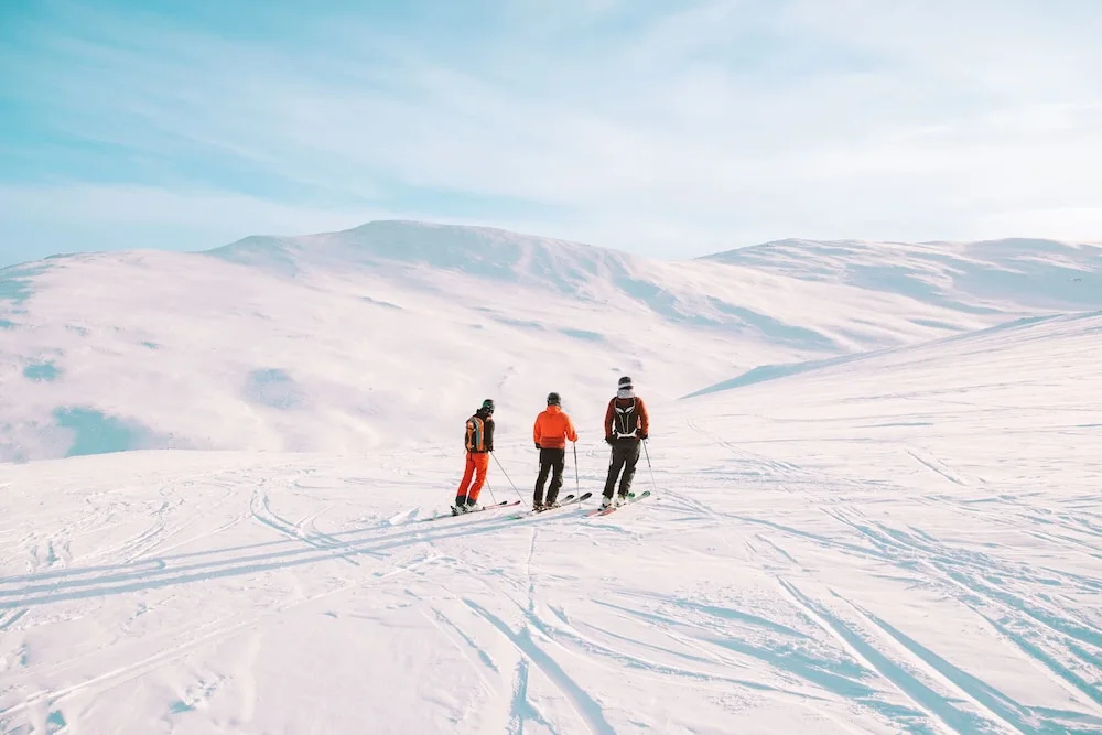 Hotell Fjället - Général