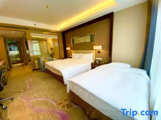 Standard Double Family room (twin beds)