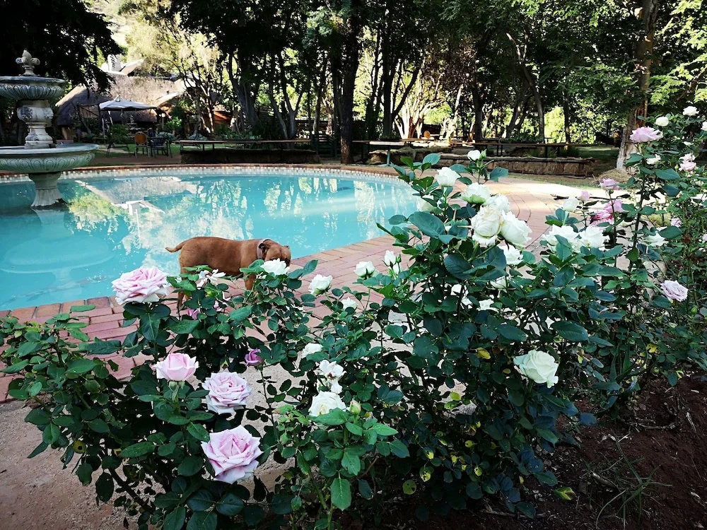 Hornbill Lodge - Général