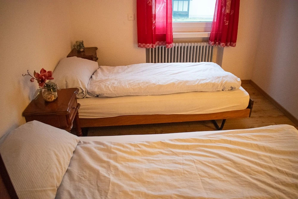 Standard Double room (twin beds)
