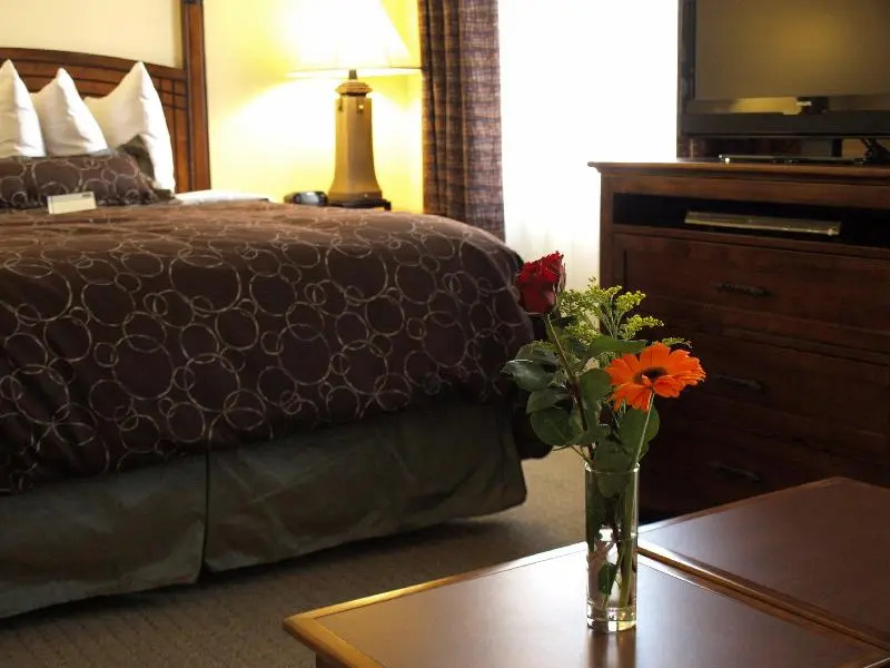 Sonesta ES Suites Denver South Park Meadows - Chambres
