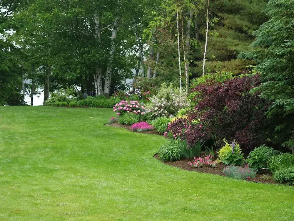 Wilson Lake Inn - Général