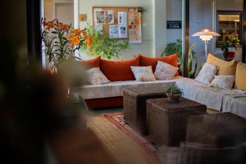 IBEX hotel by null