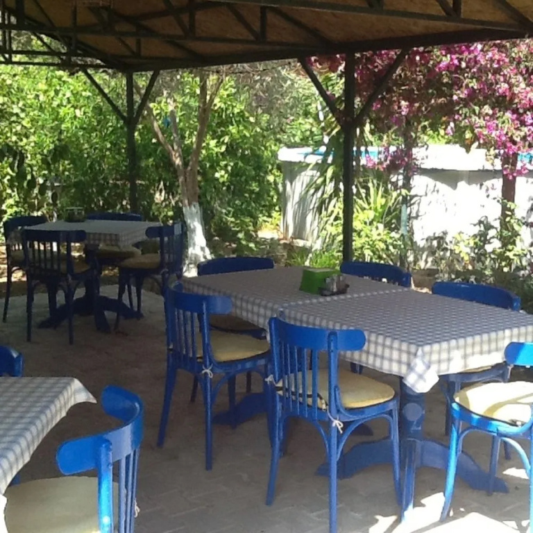 Kücük Denizkizi - фото 18
