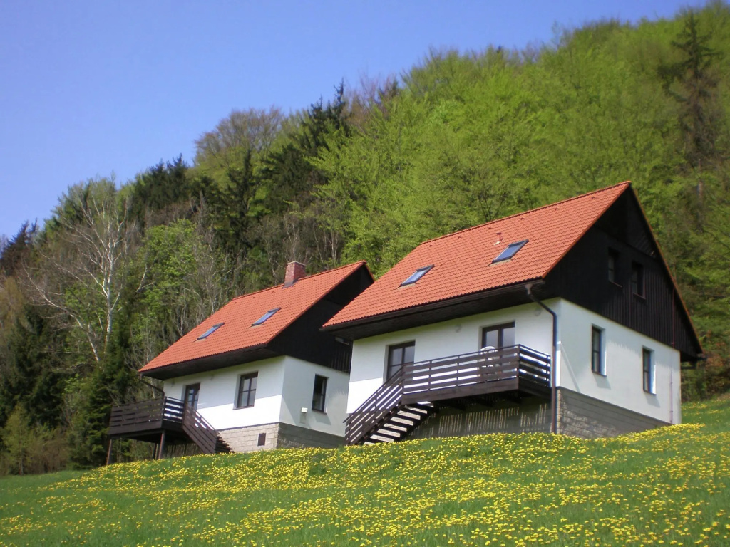 Mansion in Starkov Near Acitvities